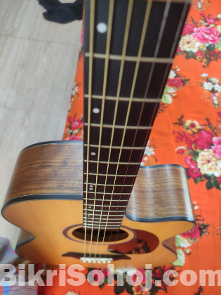 Guitar